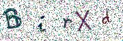 Obr&aacute;zkov&aacute; CAPTCHA